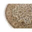 Oriental Area Rug in Gold