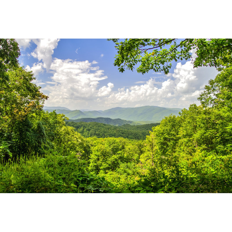 Bauder Great Smoky Mountains par - Photographie de toile tendue, H 8 po x l 12 po