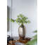 Vase en aluminium de conception transitionnelle