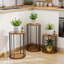 Support pour plante moderne Mid-Century avec plateau rond en bois, support pour plante d'intérieur en métal robuste et table de présentation pour le salon et la chambre à coucher