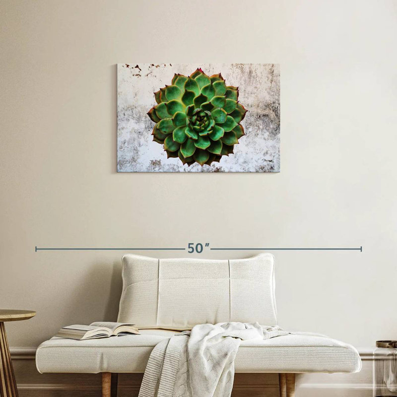 Harnek Grunge Succulent, 20'' H x 30'' W