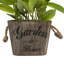 14'' Faux Plant in Pot