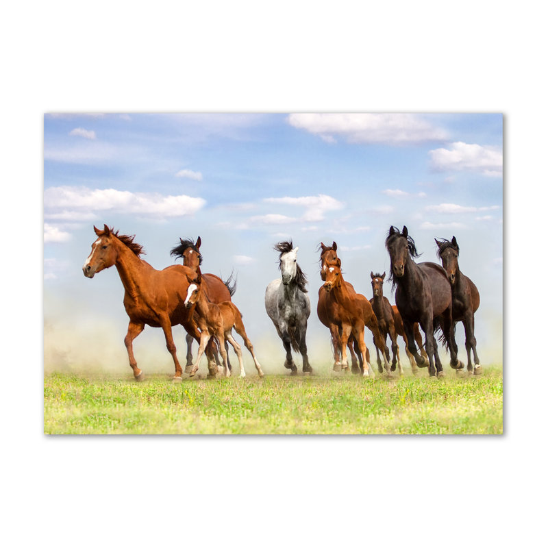 Horses in a gallop 1 Piece Wrapped Canvas Wall Art