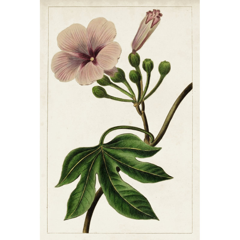 Mauve Botanicals I - Wrapped Canvas Painting, 91cm H x 61cm W