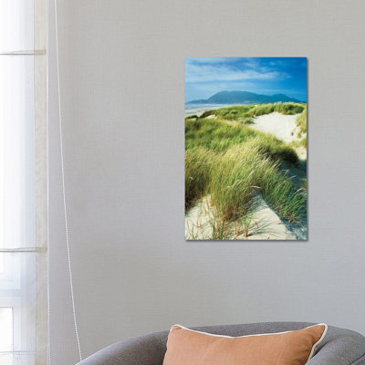 Oregon Dunes Grass by Alan Majchrowicz - Wrapped Canvas Gallery-Wrapped Canvas Giclée