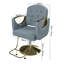  Fauteuil de coiffeur professionnel professionnel avec base pivotante à 360 °, pivotant à 360 °, bleu et or-405730885