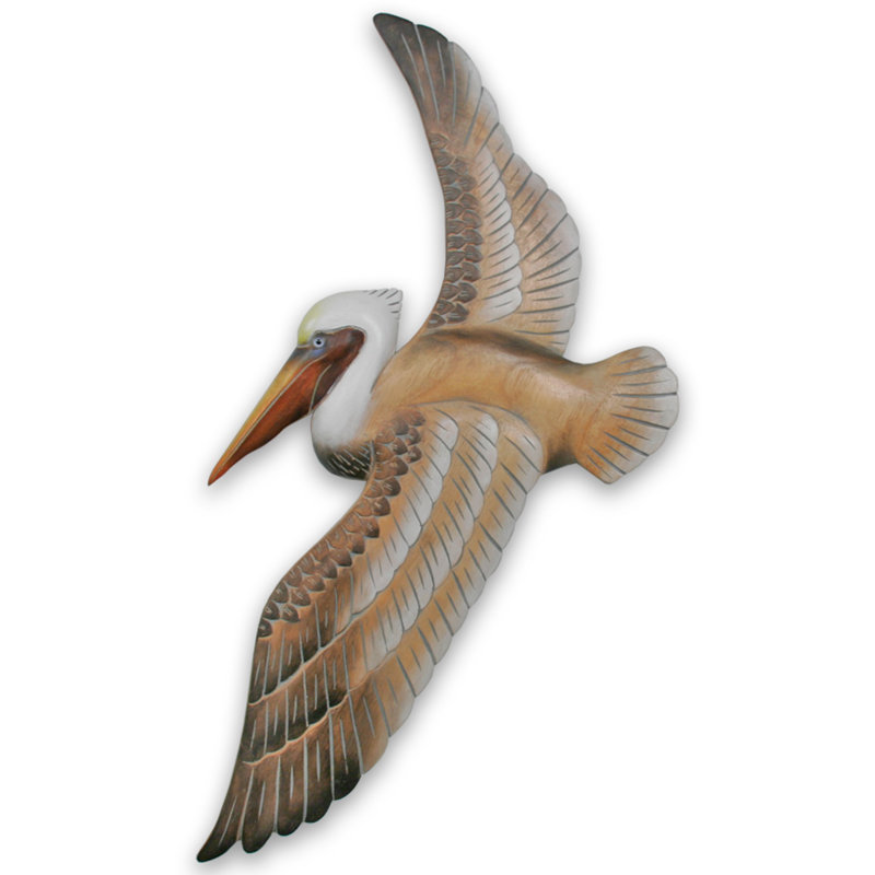 Pelican Flying