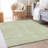 Premium Machine Washable Prisco Aloe Rug-1652724907