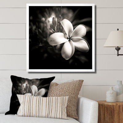 Spectrum Wild Moonlight Plumeria Beauty sur toile