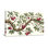 Plantes et fleurs, branche de cerisier avec fruits rouges et feuilles vertes