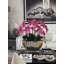 Vivien Gold Vase With Phaleanopsis Orchids-772172527