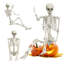 5,4 pi squelette de vie d'Halloween, squelette pleine grandeur pour les accessoires de jardin d'Halloween