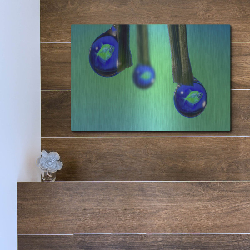 Art mural en métal Lark Manor ™ «Fish In A Drop 1» par Gordon Semmens, H 12 po x l 16 po