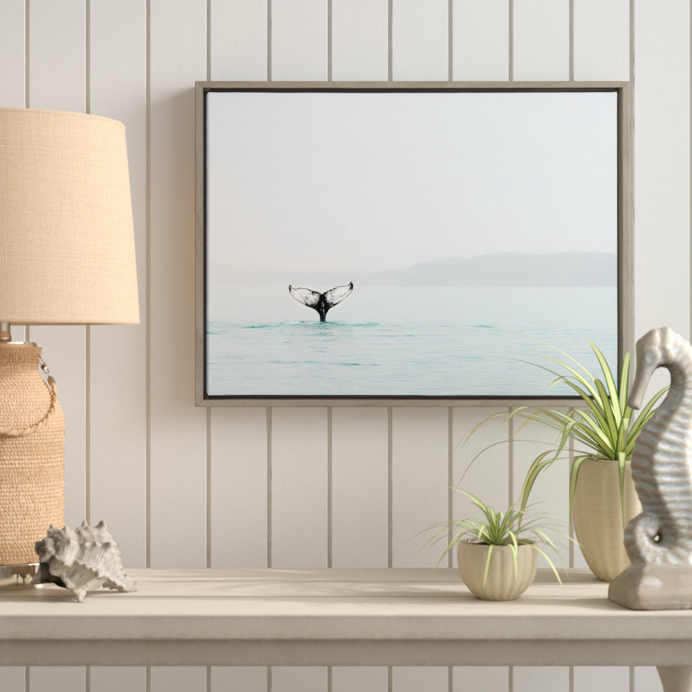 Whale Tail in the Mist by Amy Peterson Framed Canvas Wall Art Print Trinx