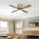 Shera 42'' Ceiling Fan with Light Kit