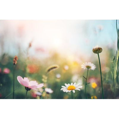 Pré vert avec des fleurs colorées. par Borchee