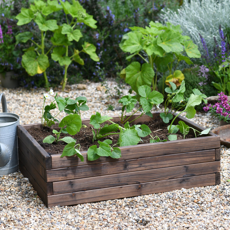 Ayube Wood Raised Garden Bed, 22.50cm H x 80cm W x 60cm D