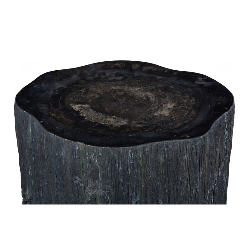 Chaka Petrified Coffee Table, Rough, Black, Tall, 18" H x 26" W x 23" D