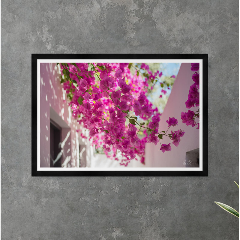 Bougainvillea Sky by Tim Klein