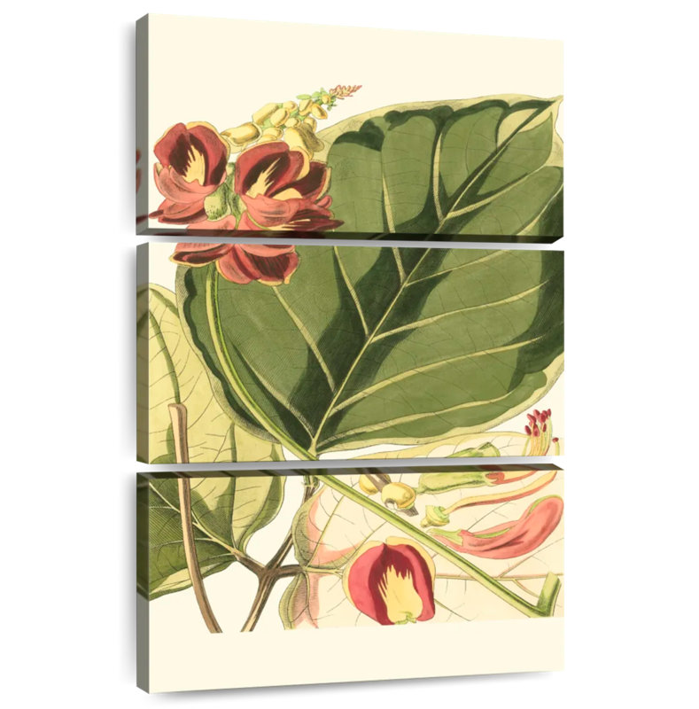 Harnek Botanique fantastique I, H 45 po x l 28 po