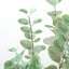 Eucalyptus artificiel Adcock en pot avec des feuilles réalistes et un tronc naturel