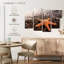 Étoile de mer orange Brampt-108847441