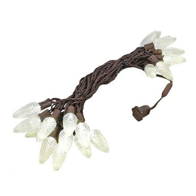 Speicher 25 - Bulb 25 in. Plug-in LED Novelty String Lights