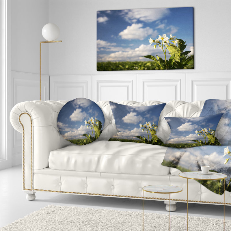Coussin à fleurs et pommes de terre