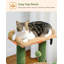 Arbre à chat 4-en-1 Cactus, tour à chat 33 po pour chat avec grand condo, grattoir pour chat avec hamac profond et perchoir supérieur, vert