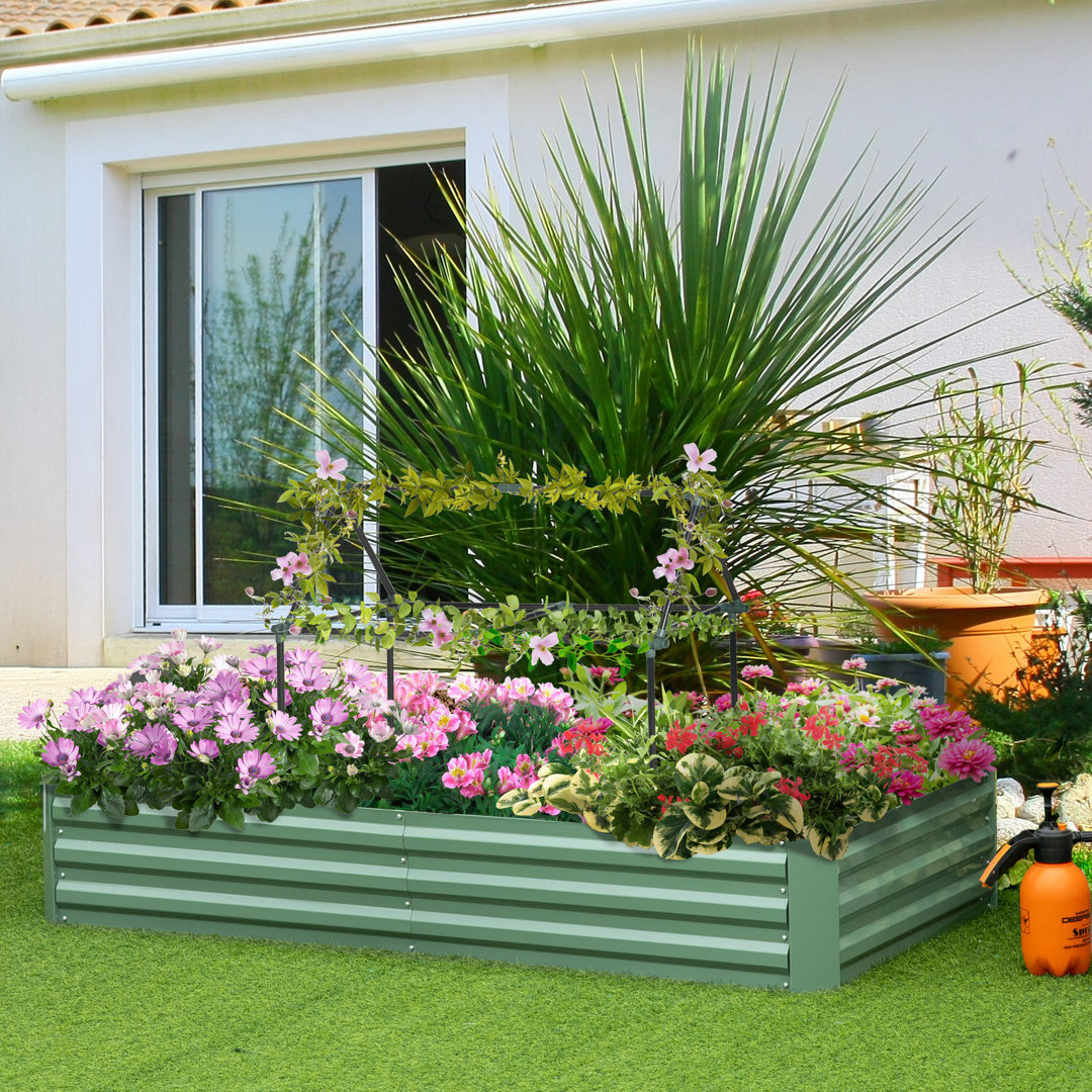 Millsap 6 ft x 1 ft Metal Raised Garden Bed Freeport Park®
