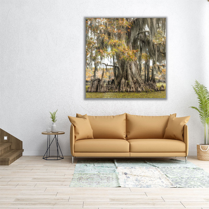 Bayou Light II - reproduction d'art sur toile, H 12 po x l 12 po