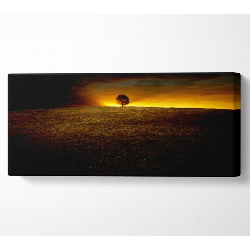Lonely Tree At First Light - Wrapped Canvas Print, 50.8cm H x 121.9cm W
