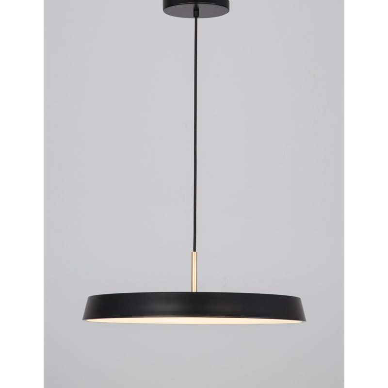 1 - Light LED Single Pendant, Black