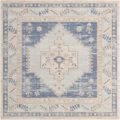 Matthei Oriental Indoor Rug