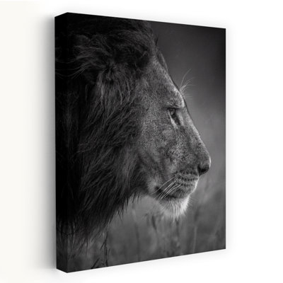 Lion royal sous la pluie, serein, abstrait, chat contemporain, lion, nature, art mural