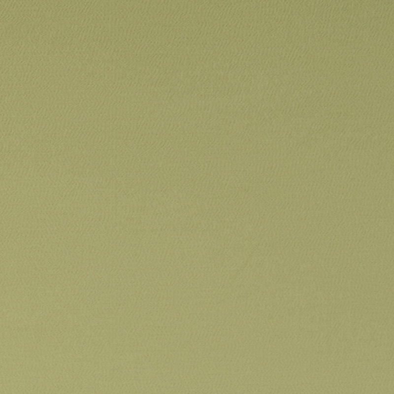 Spectrum, Chameleon