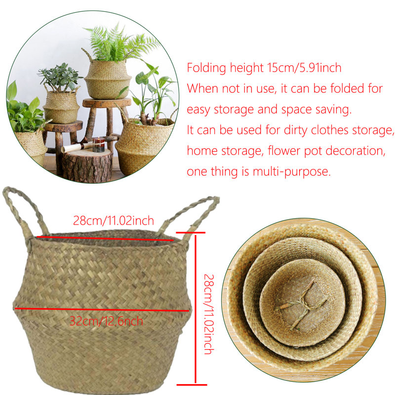 Panier de ruppie maritime, H 11,02 po x l 12,6 po x P 12,6 po