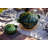 Staub Cast Iron 3-qt Artichoke Cocotte - Basil