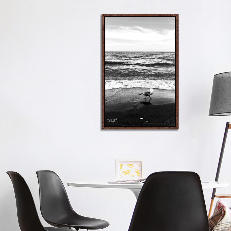 Seagull I by Donnie Quillen - Print on Canvas, 101.6cm H x 66.04cm W x 3.81cm D, Classic Brown Wood Framed