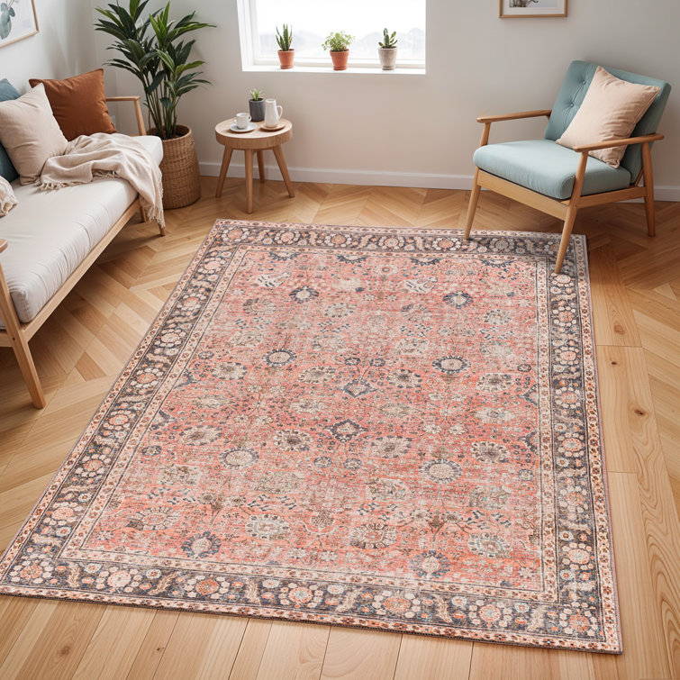 Colin Machine Washable Traditionnal Boho Area Rug