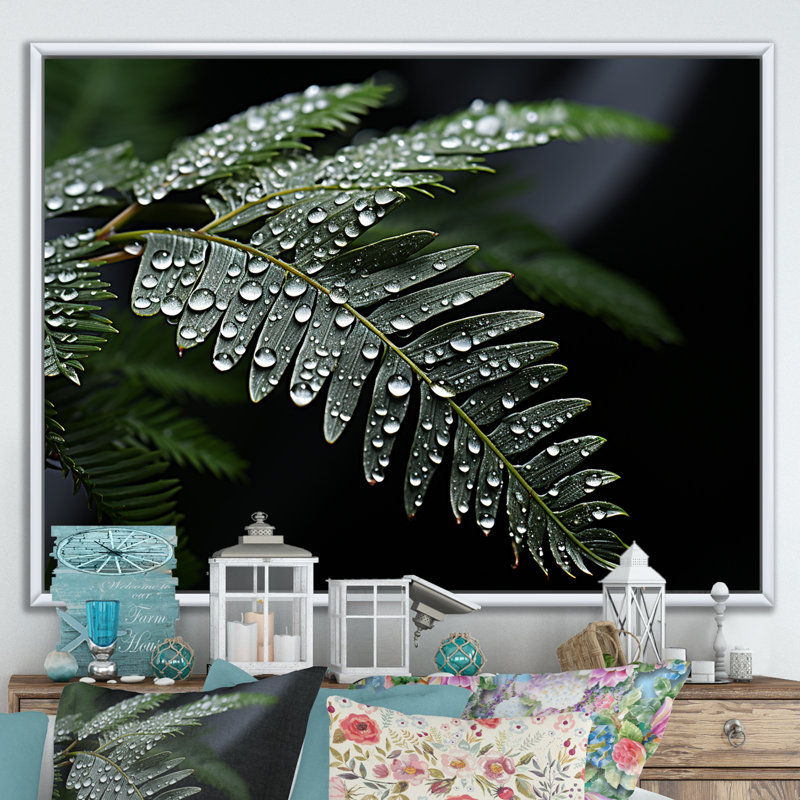 «Ferns Charm in Winter», reproduction sur toile, Cadre flottant blanc, H 24 po x l 32 po x P 1 po