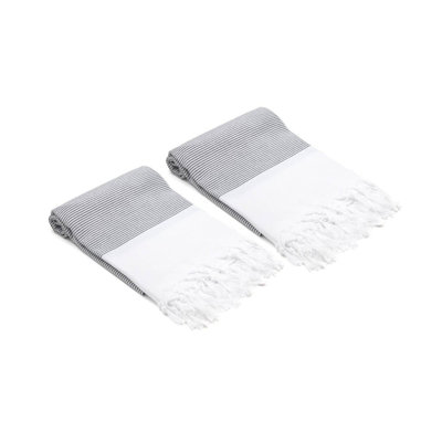 Ensemble de serviettes à main mini 2 pièces 100% coton Wadsworth