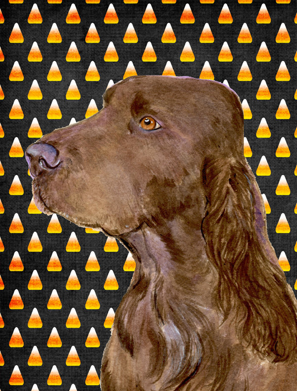 Drapeau de jardin brûlé bonbon d'Halloween à 2 côtés, Field spaniel