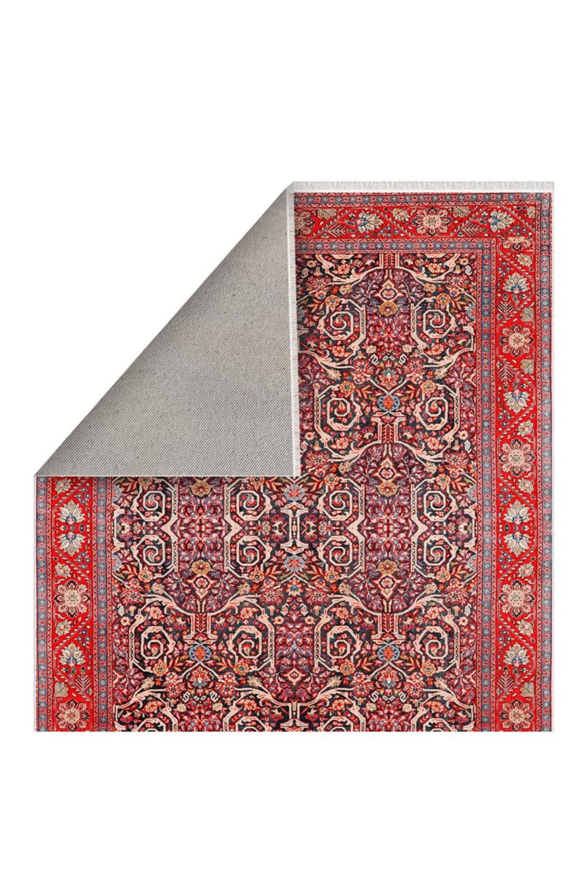 Bungalow Rose Seti Cotton Indoor/Outdoor Area Rug | Wayfair