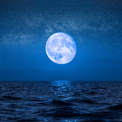 Full Moon Rising - Wrapped Canvas Print