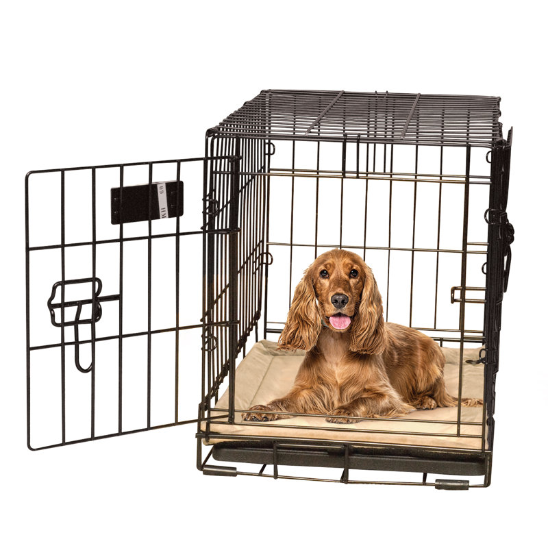 Tapis de caisse pour chien auto-chauffant, Moyen (l 31 po x P 21 po x H 0,5 po), Brun clair