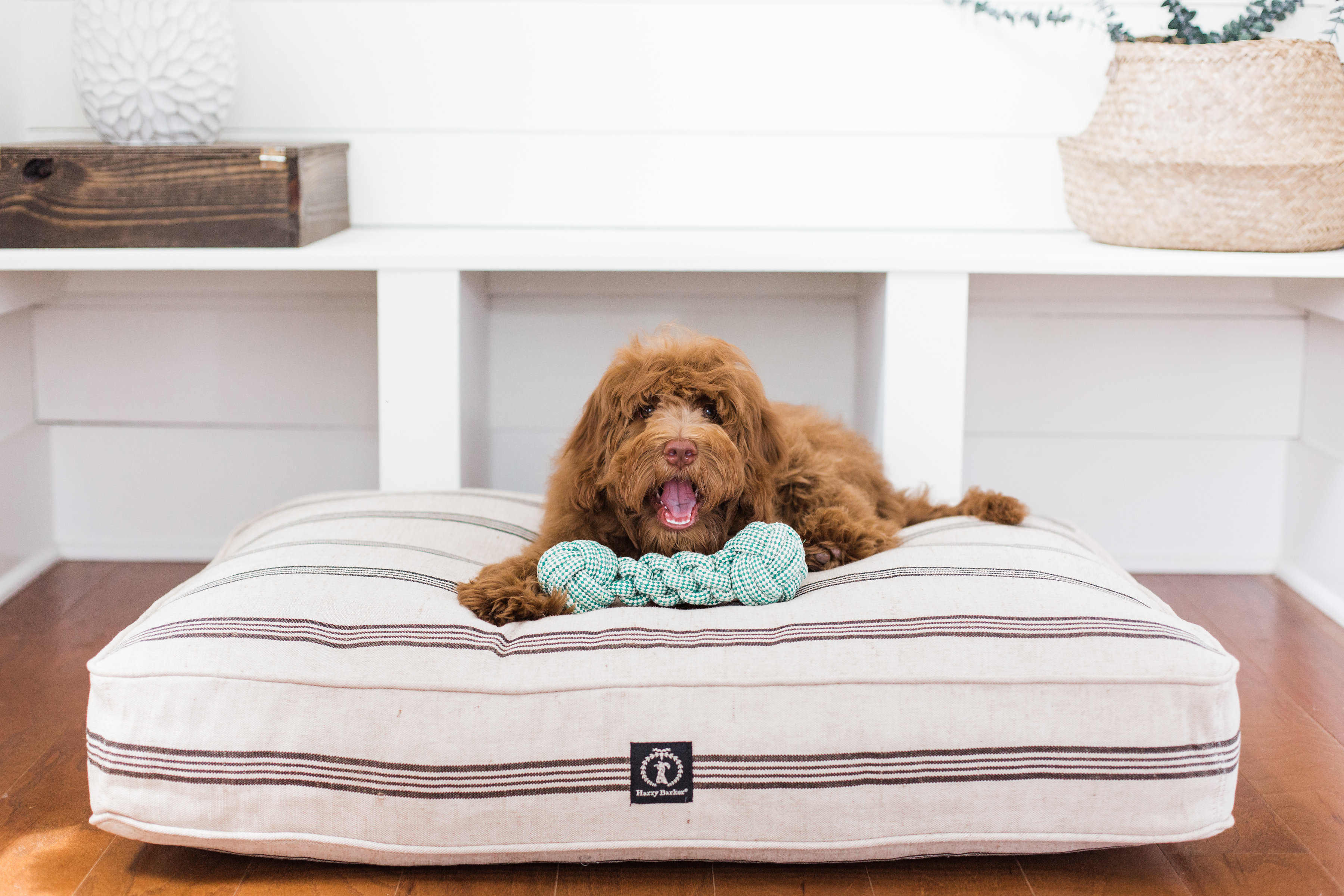 Harry Barker Striped Cotton Pet Bed