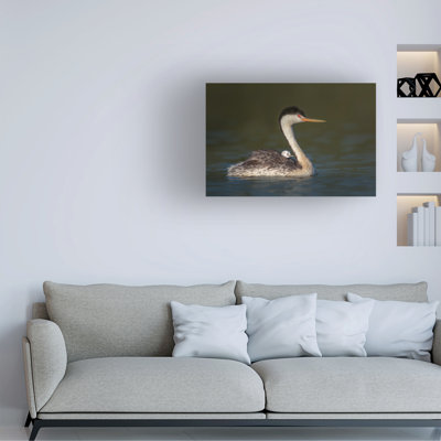 «Greg Barsh», vue sur le siège avant