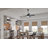 Starkk 52'' Ceiling Fan with LED Lights