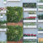 1m X 1m Artificial Hedge Wall Panels – Boxwood Greenery Privacy Screen, Uv-protected Artificial Plants Backdrop
